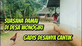 Download lagu Sejuk,Damai Suasana Kampung Gedawung Wonogiri Dan Pesona Gadis Cantik Desanya