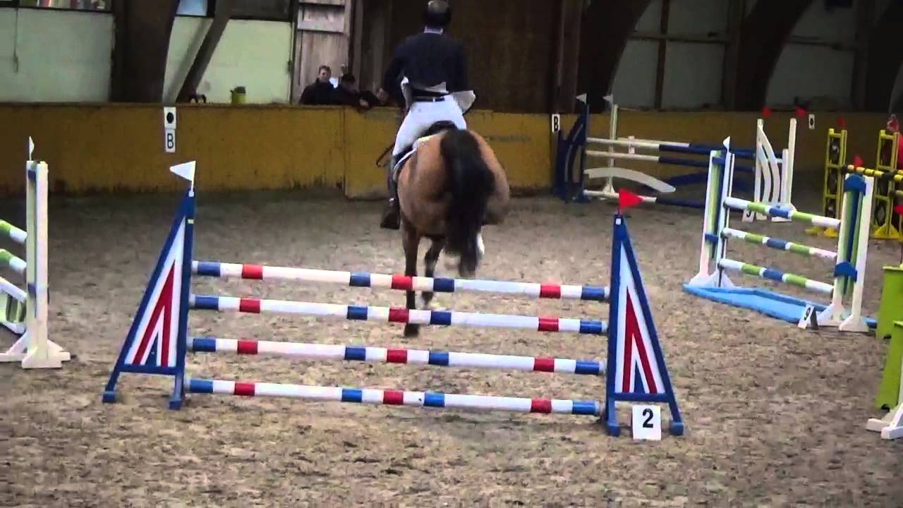 Cassini I-Corofino I-Caletto, winning 1.20m classes