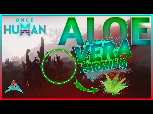ONCE HUMAN - HOW TO GET ALOE VERA - FASTEST ALOE VERA FARM! - ALOE VERA  GUIDE - FARMING GUIDE! - YouTube