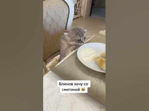Хочу блинчики со сметаной мем