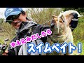 冷え込んだおかっぱりにはスイムベイトが効く!秋バス釣りに効果大のスイムベイトの使い方とセッティング方法を並木が詳しく解説!