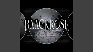 Blackrose (feat. 星界)