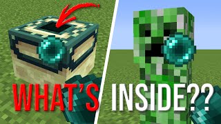 What's Inside Blocks in Minecraft?