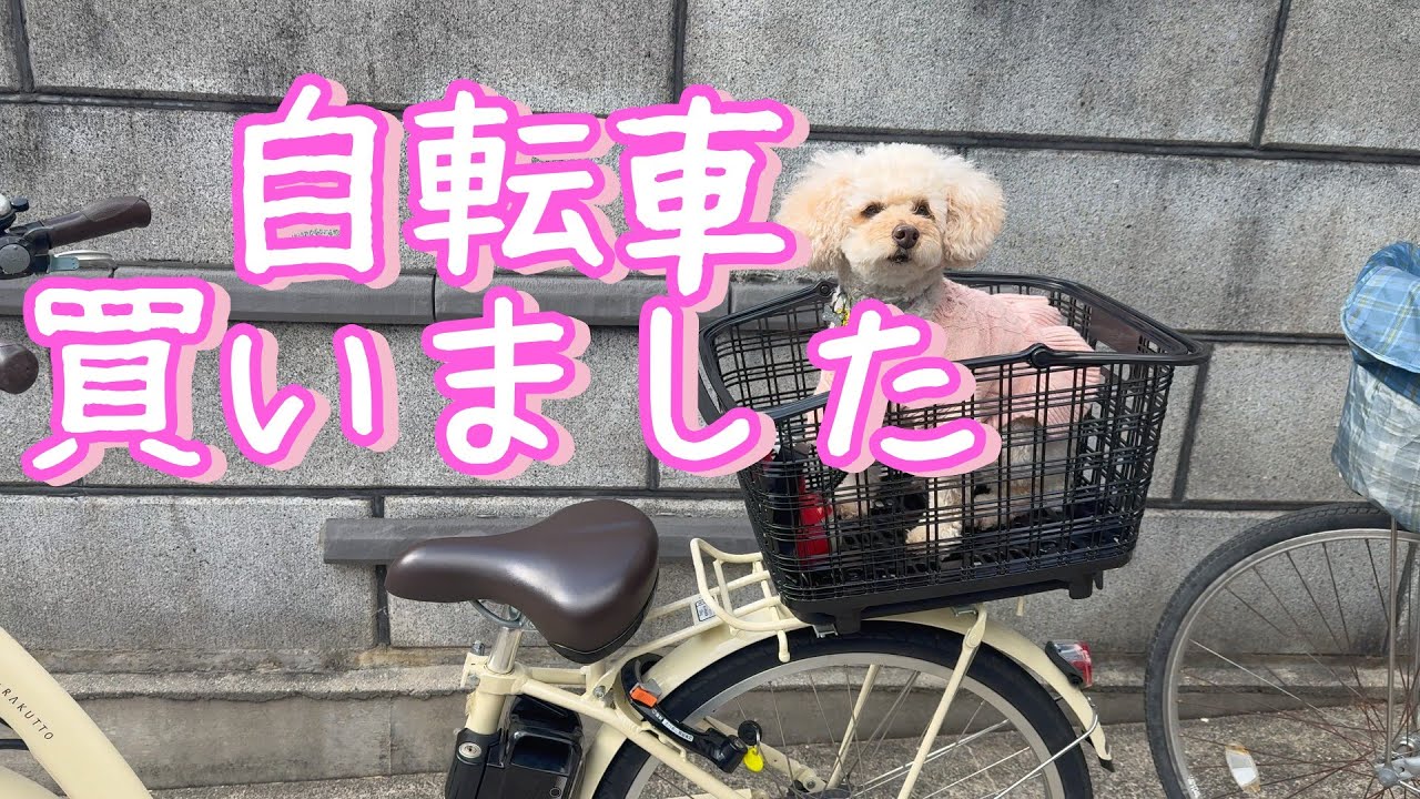 おばあちゃんの自転車買いました