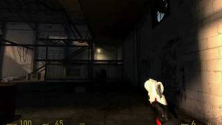 Half-Life 2 Alpha/Beta/Leak Flare Pistol Skin for Revolver