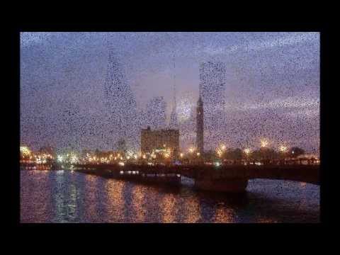 حميد الشاعرى يا حبة قلبى
