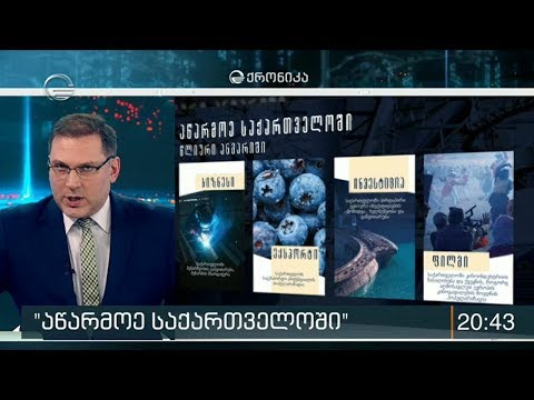 \"აწარმოე საქართველოში\" საქმიანობას აჯამებს