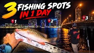 We Tested 3 snapper Spots And This Happened