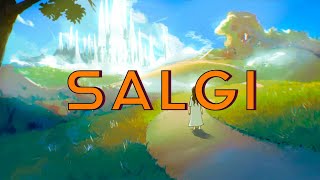 Salgi | Amsrang Momin ft. Salgrik & Chusrangbo