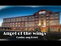 Wings of Riches Netent Online Casino Slot review - YouTube