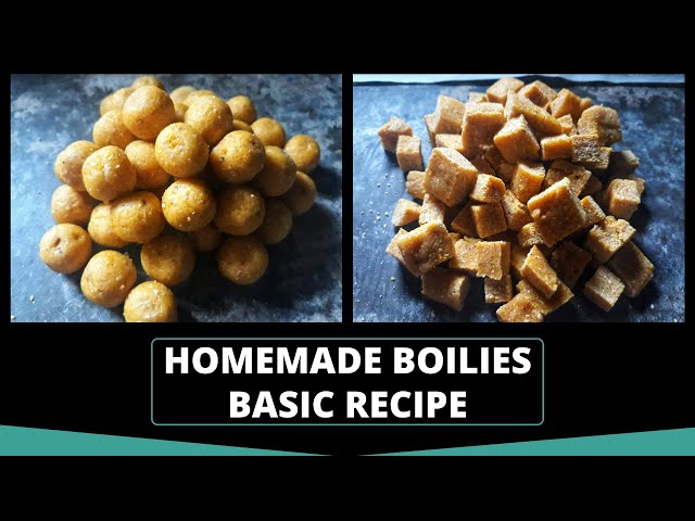 HOW TO MAKE - Homemade boilies for carp fishing 