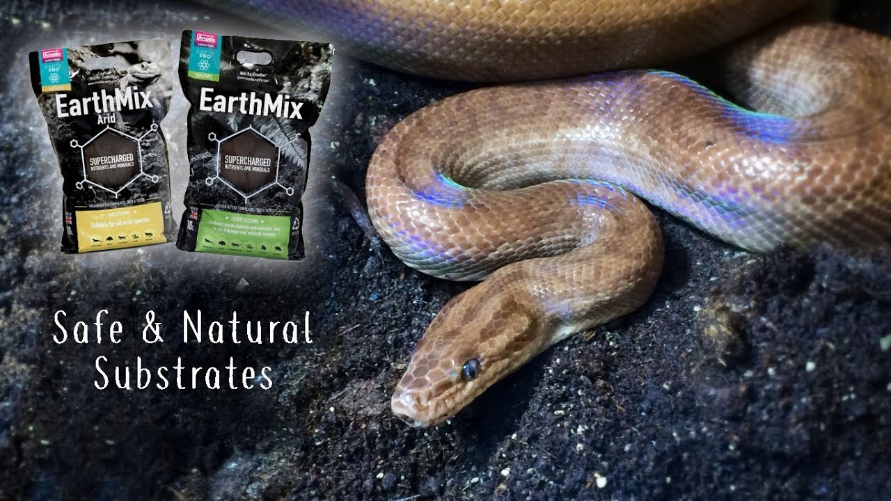 Safe & Natural Bio-Active Reptile Substrates! Arcadia and EarthMix Arid - YouTube