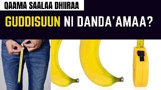 Qizning jinsiy aloqa fotosurati Pavel Volya ayollar va geylar ortasidagi jinsiy aloqa haqida