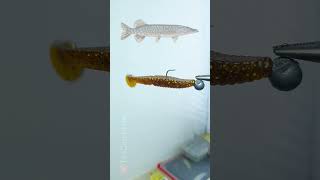 Rigging a Crazy Fish Swimbait for Pike & Perch! ππ₯ #fishing Rigging a Crazy Fish Swimbait for Pike & Perch! ππ₯ #fishing