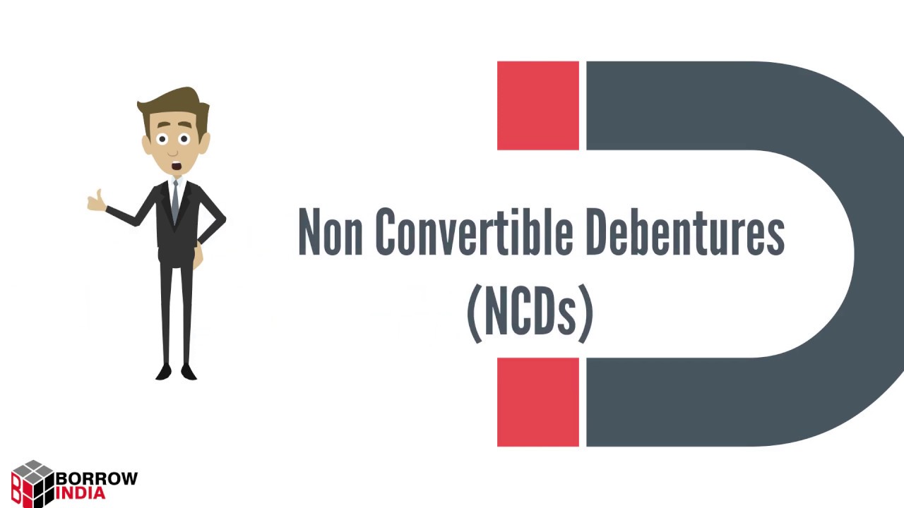 Non Convertible Debentures(NCDs)