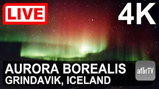 Northern Lights — Live Aurora from Iceland Tonight screenshot 2