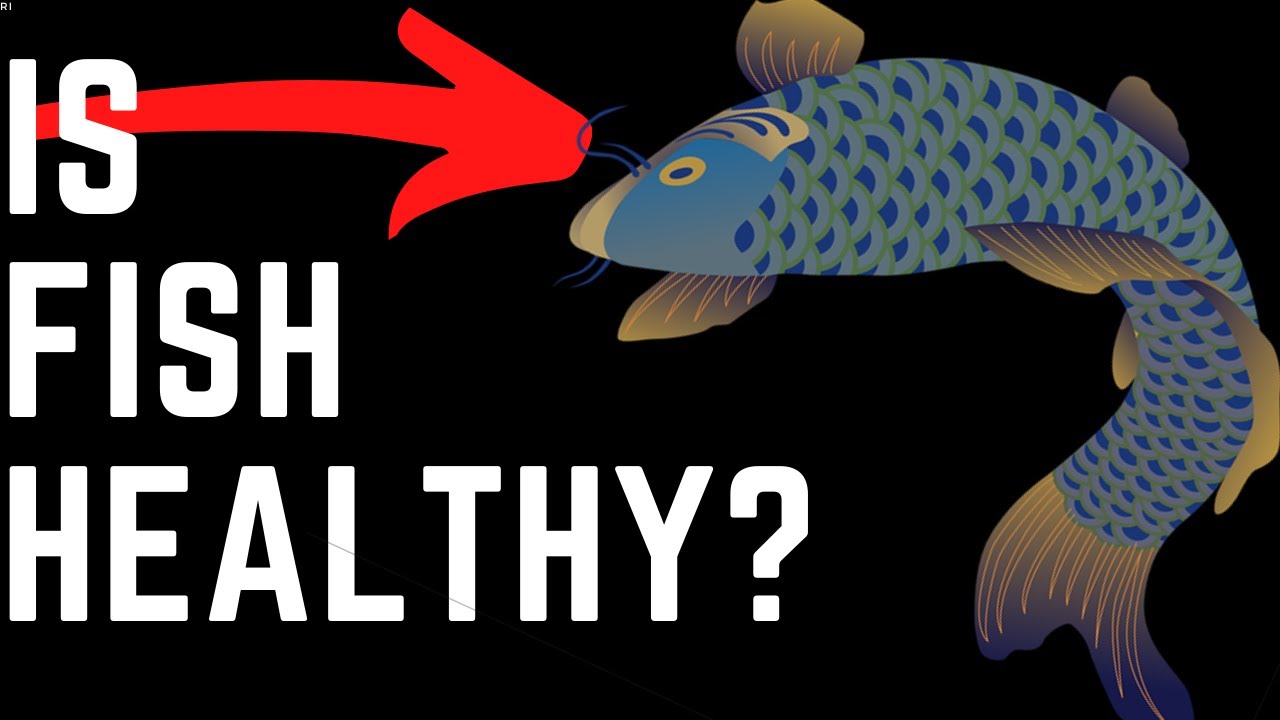 fish benefits for human body/start eating fish now! YouTube