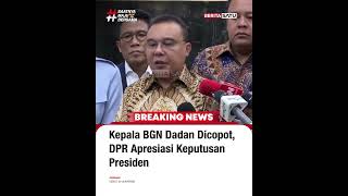 Kepala Bgn Dadan Dicopot Dpr Apresiasi Keputusan Presiden beritasatu