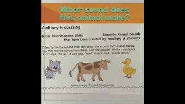VIDEO Auditory Processing
