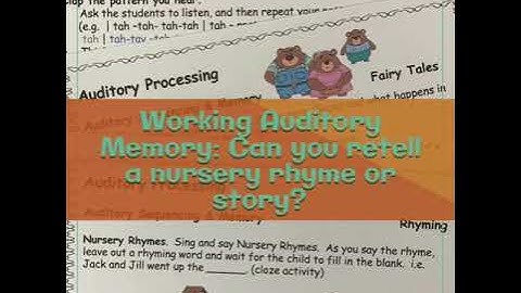 VIDEO Auditory Processing