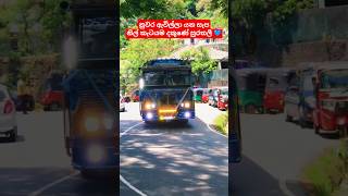 නුවර ඇවිල්ලා යන නිල් කැටයම දකුණේ සුරතලී 💙 කොහොමද එයාගේ පෙනුම නම් 🥰👀|New Modified Special Bus #shorts