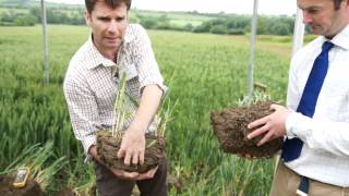 Better Production From Better Informed Soil Management