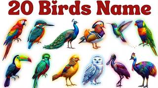 Birds Name in English and Hindi | पक्षियों के नाम for Kids Learning