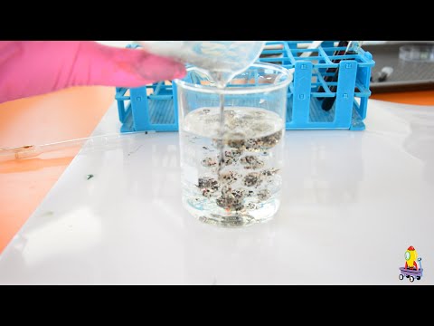 Βίντεο: Τα μόρια του νερού έλκονται από άλλα πολικά μόρια;
