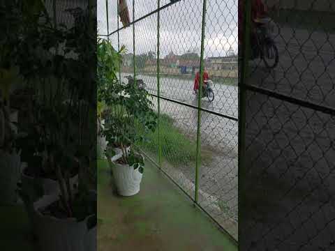 It's raining #nature