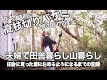 【田舎暮らし】#14 お泊まりの前に高枝切りバサミで家の周りの木を剪定します。