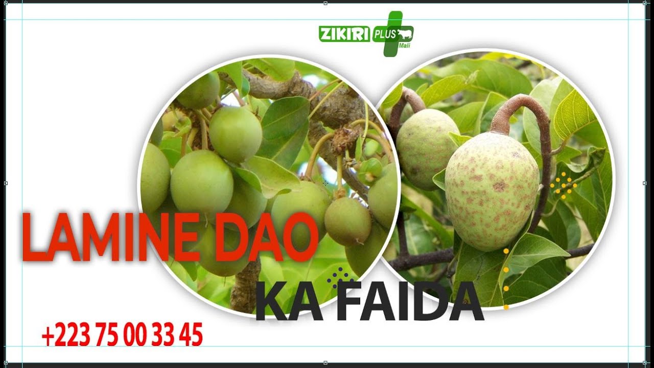 LAMINE DAO KA FAIDA (THEME) KARITE - ZABAN