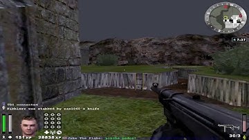 Enemy Territory Fearless Assassins