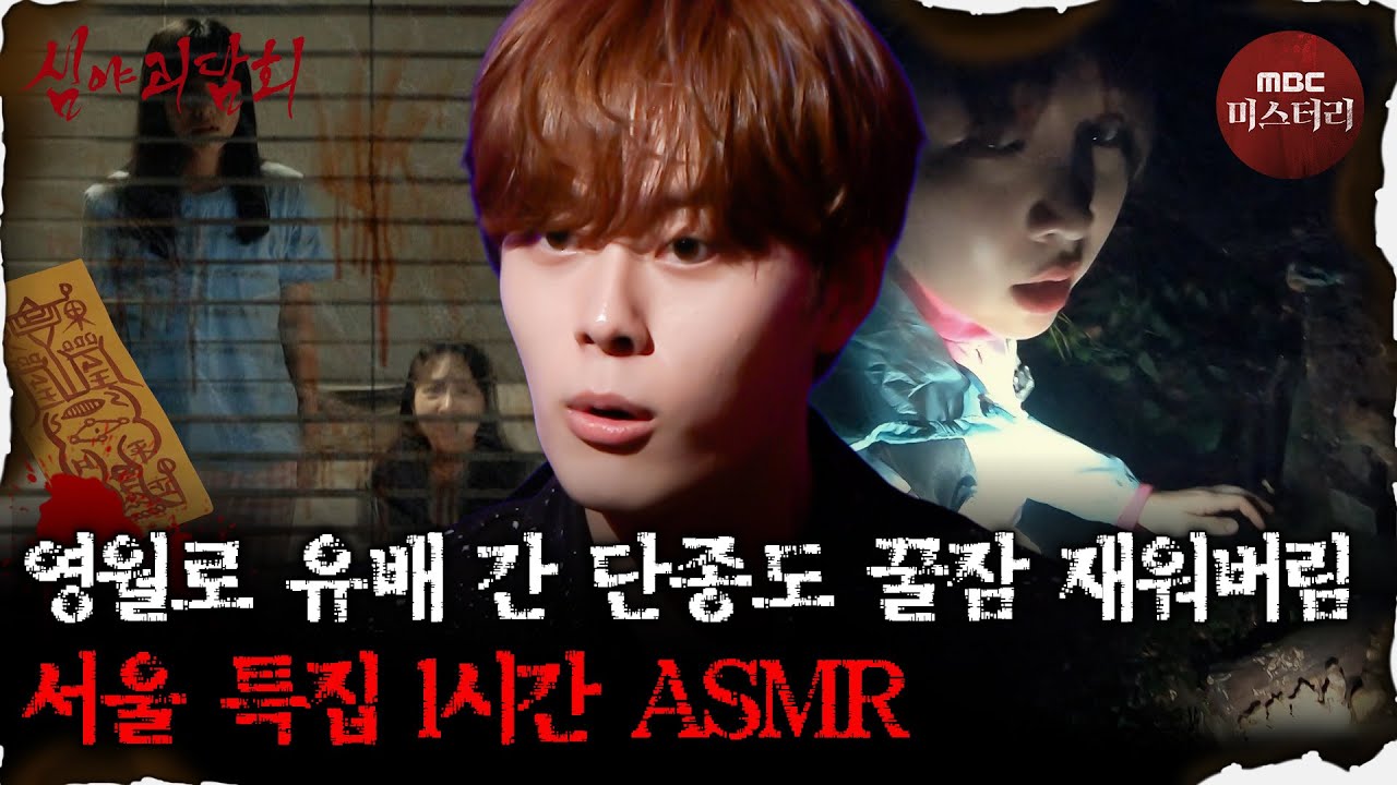 [심괴ASMR] 단종도 꿀잠 자러 돌아가고 싶은 서울 특집 1시간 ASMR #심야괴담회#심괴#어둑시니#midnight#horrorstory MBC230829방송