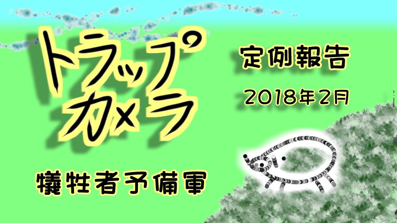 野鳥雨靴 定例トラップカメラ報告 2018年2月 脱落しそうな者多数