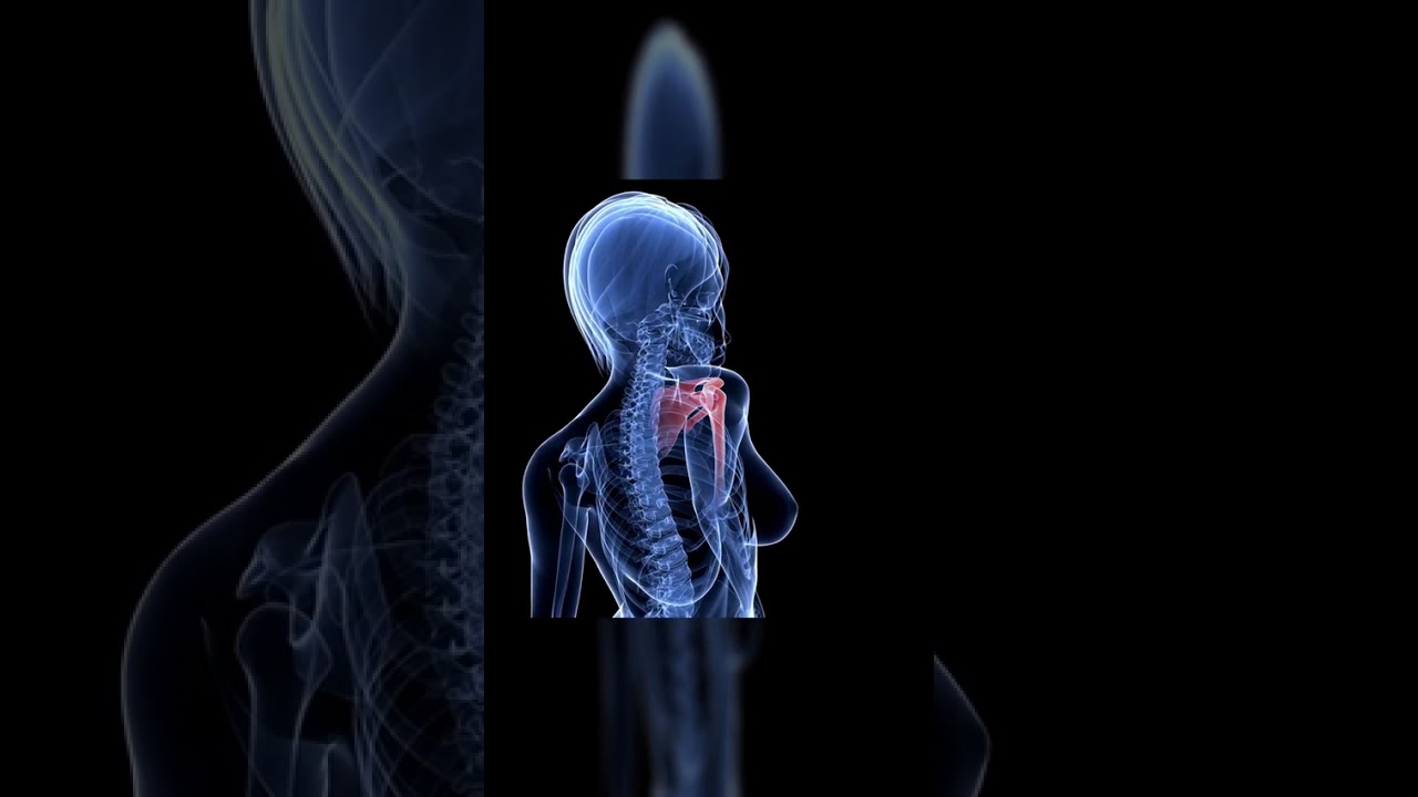 No One Stepped In Here 