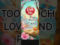TOO MUCH LOVE AND PIES #loveandpies