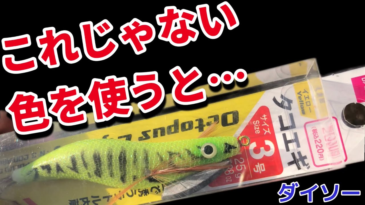 黄色は注意。赤は止まれ！【タコ釣り】水中バイトシーン収録　octopus in water