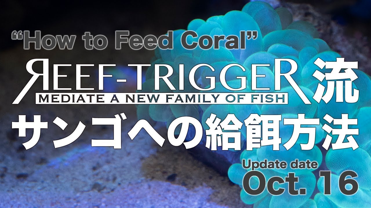 REEF-TRIGGER流 サンゴへの給餌方法 [How to Feed Coral]
