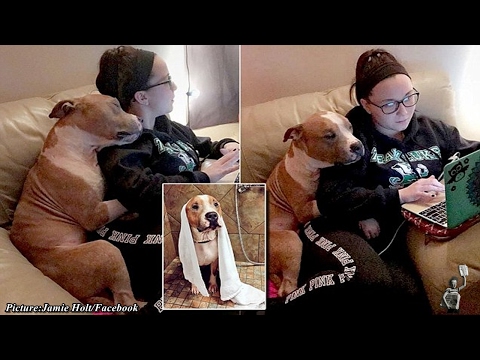 Woman Adopts A Pitbull, And The Dog Can’t Stop Hugging Her