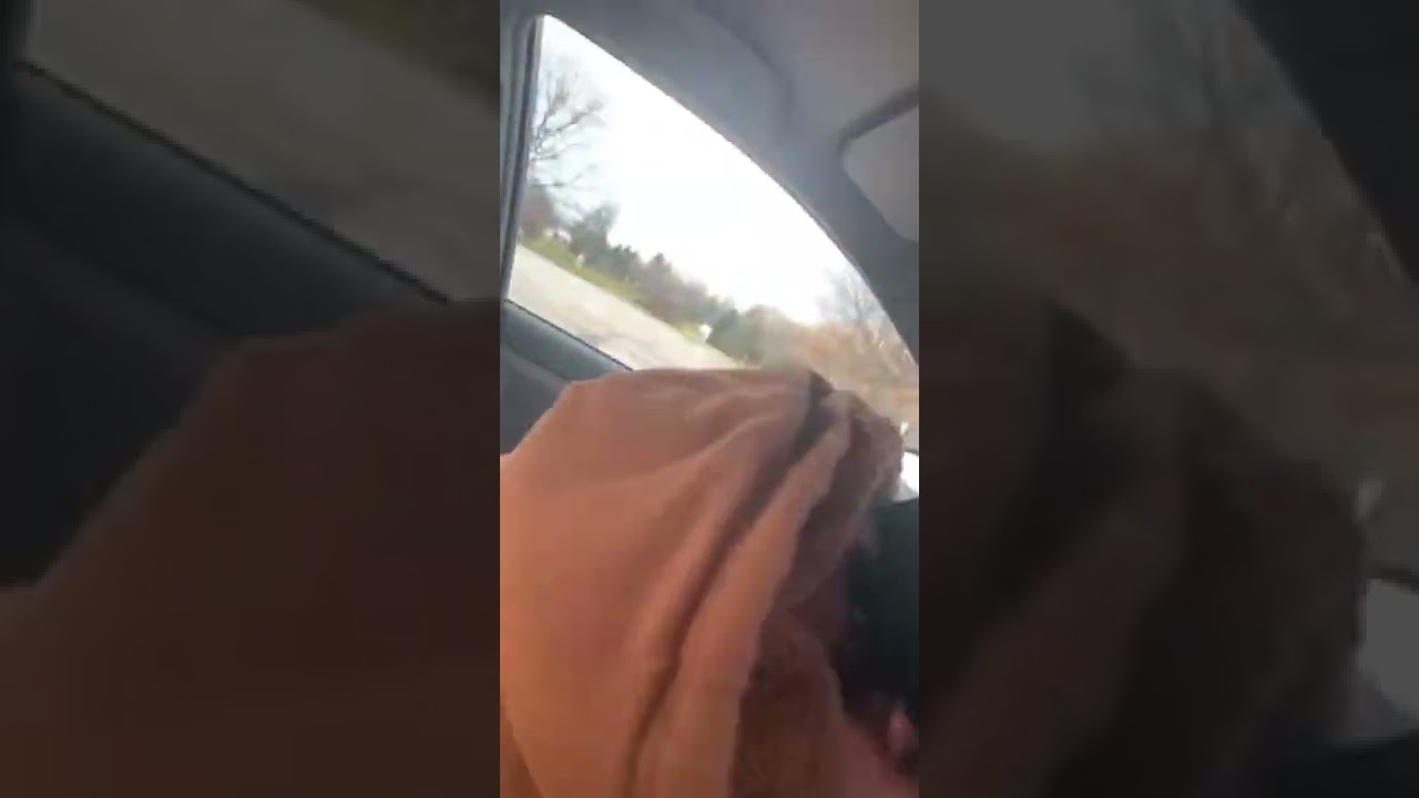 Who driving this BUS?? 🚌