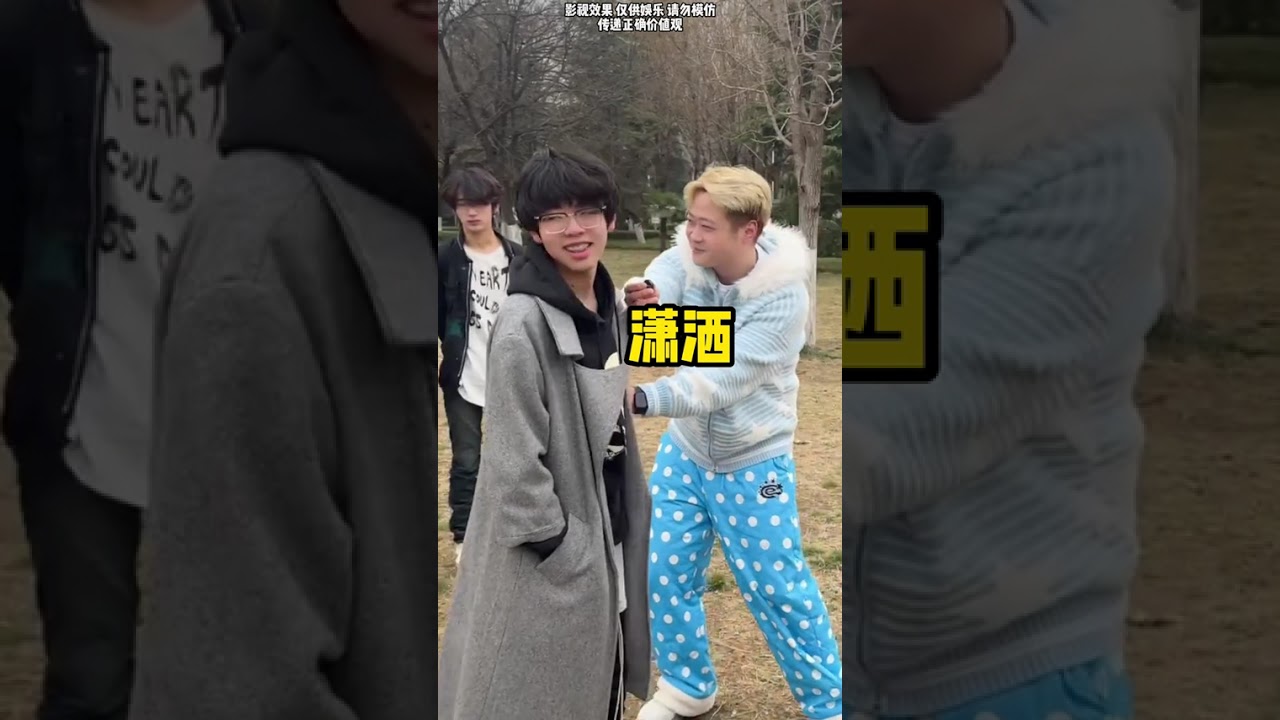 Introducing a Dream Partner: Handsome Guys for a Socialite's Heart