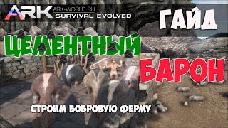Цементный БАРОН ARK Survival Evolved Строим Бобровую ферму!