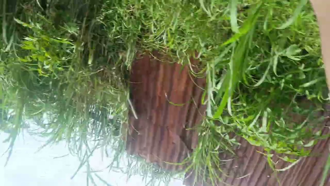 Telusuri jalan lereng gunung muria..pemandangan yang warbiasa