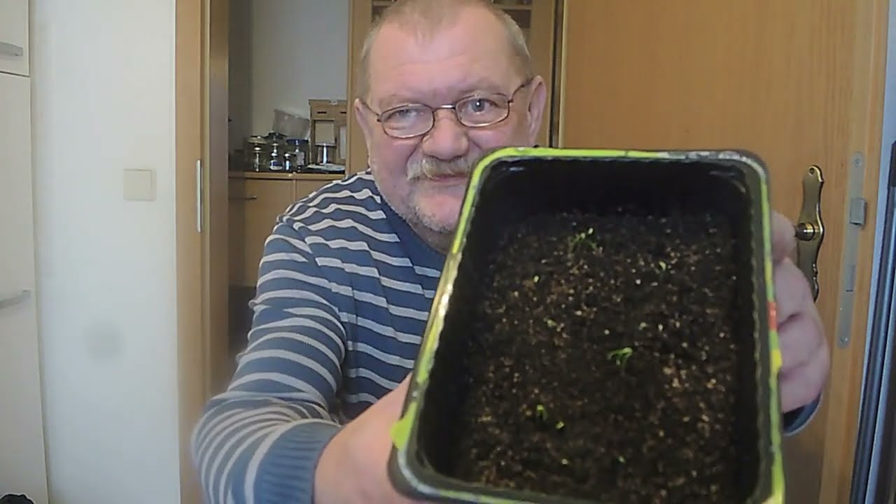 Was macht die Aussaat und die Christel von der Post