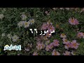اليك ابكر مزمور ٦٦ اليك ابكر مزمور ٦٦