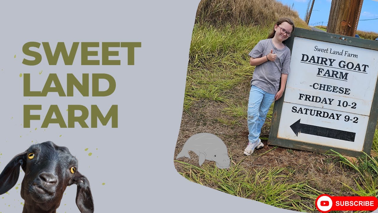 Agritourism in Hawaii Goat Dairy Farm on Oahu YouTube