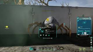 Ark Survival Ascended Taming New Friends For Beta Drop Project - The Araneo