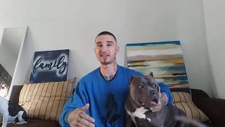 How to save puppy from parvo