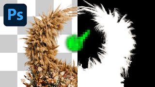 How To Remove Background in Photoshop (Refine Detail Hack) screenshot 4