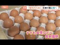 【令和8年熊本地震】20万匹のブランドサーモン死ぬ…それでも「もっと美味しい魚を」地震から1か月　復旧に挑む養殖業者　全国から支援も｜TBS NEWS DIG